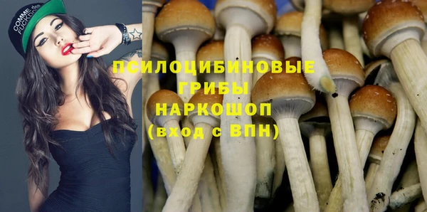прущие грибы Алексеевка