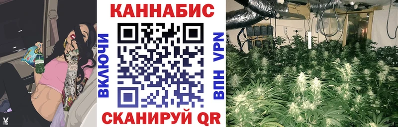 Марихуана Bruce Banner Павловский Посад